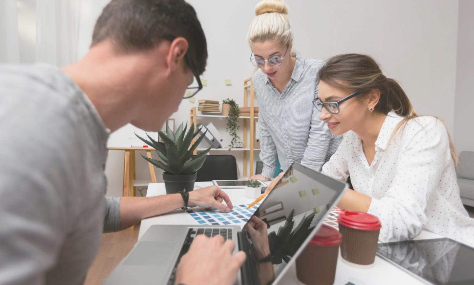 Financial professionals working with scenario modeling software and data analysis tools